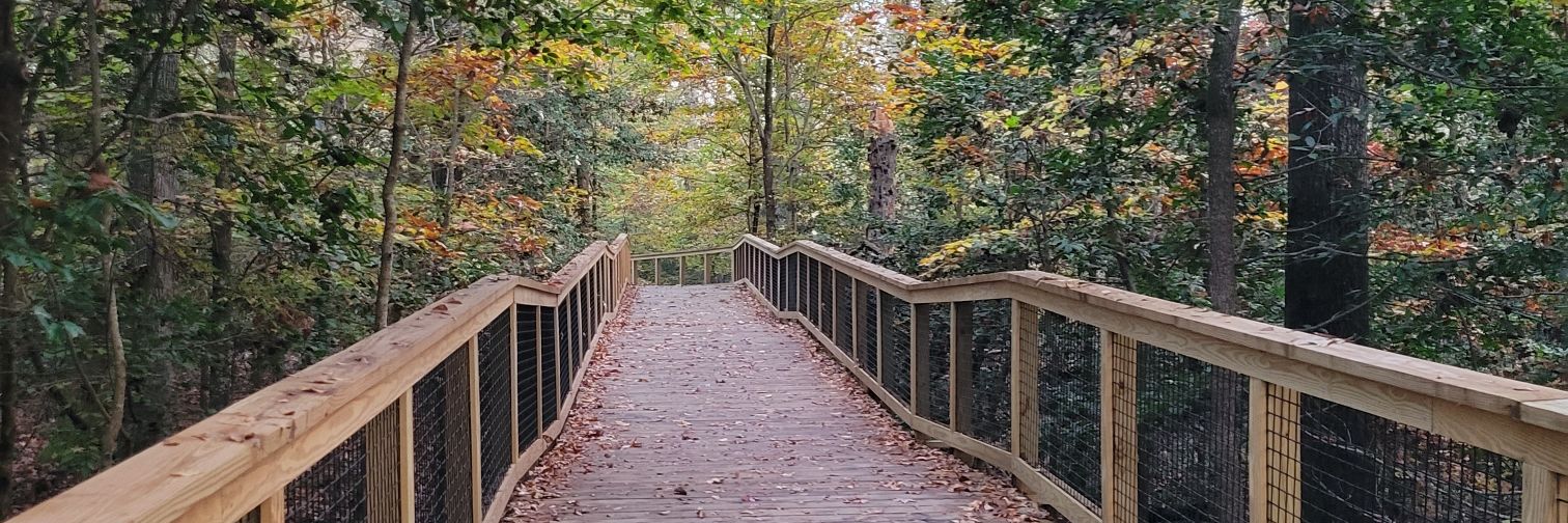 Hannaferr of Vengerberg banner