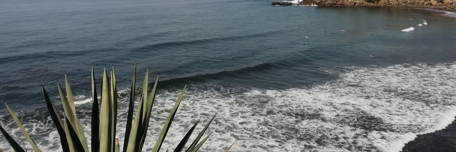 FreddyAlexisAvl's profile banner image