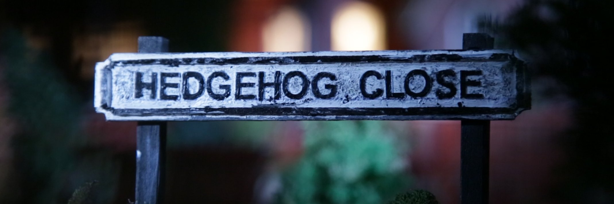 HedgehogClose's profile banner image