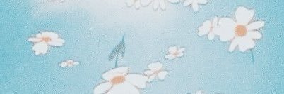 rotcelfer banner