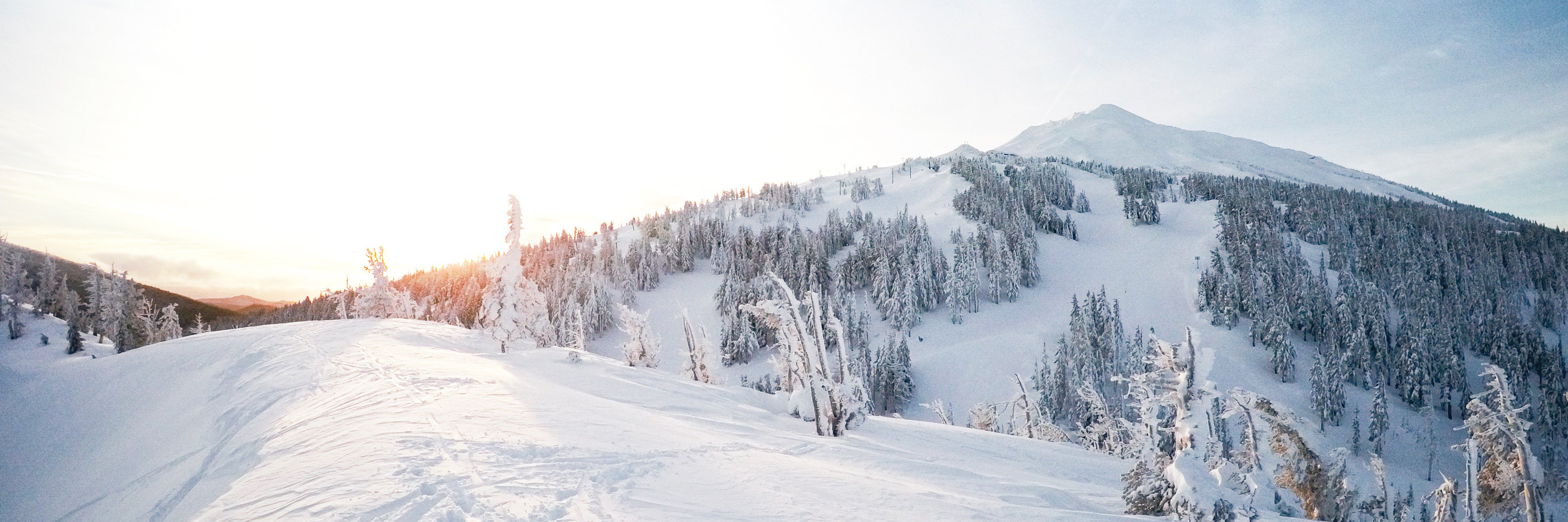Randy Schmidt banner
