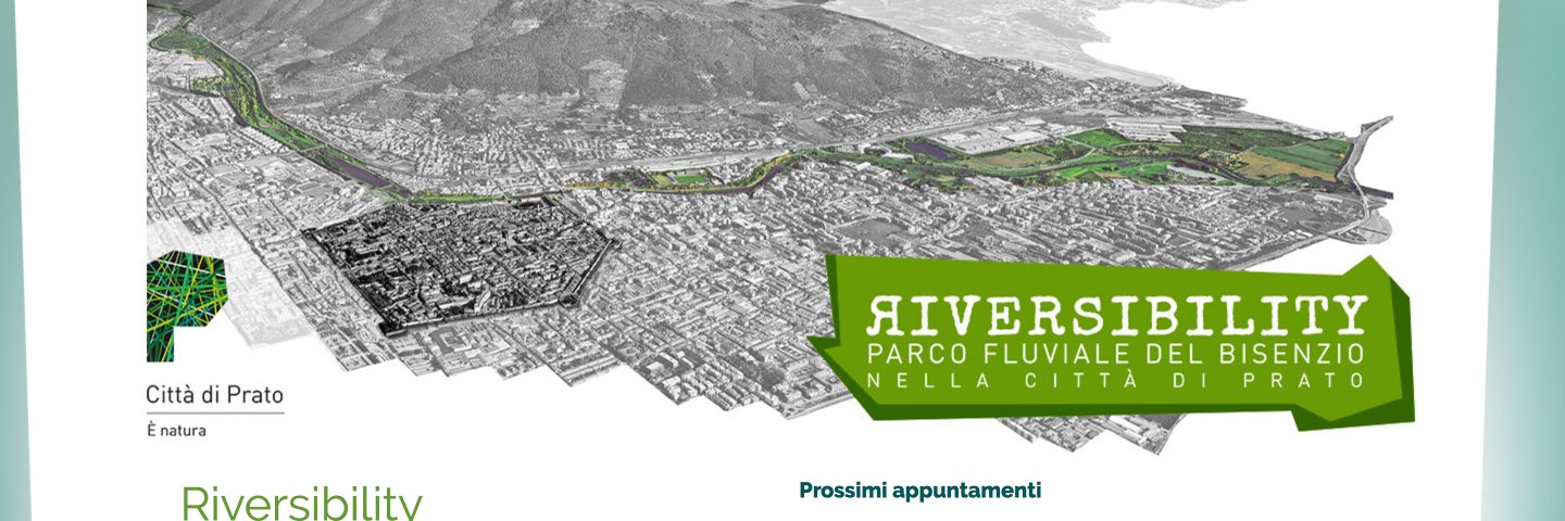 Riversibility banner