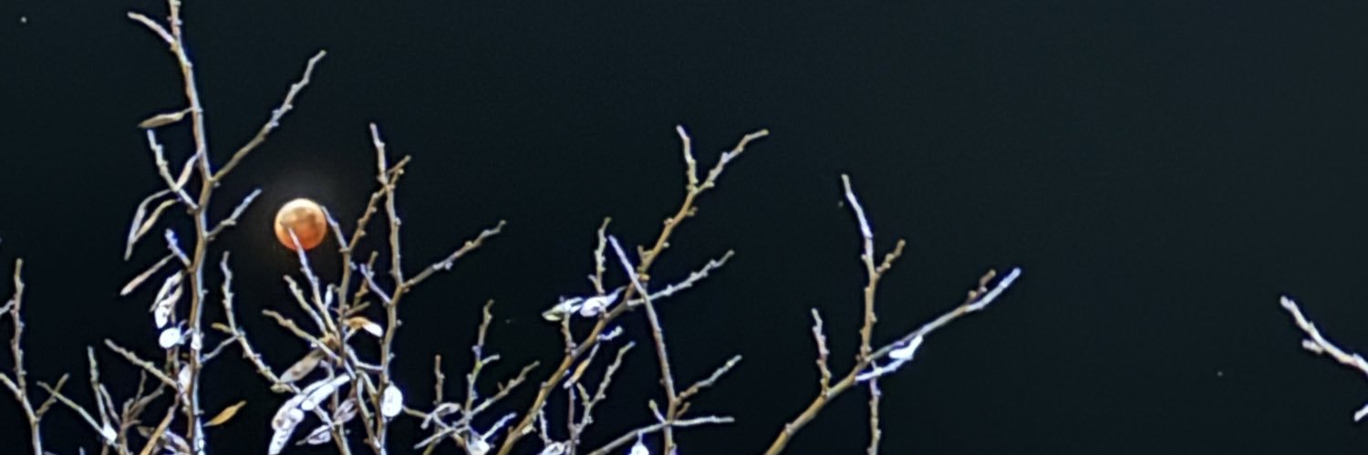dcoul27's profile banner image