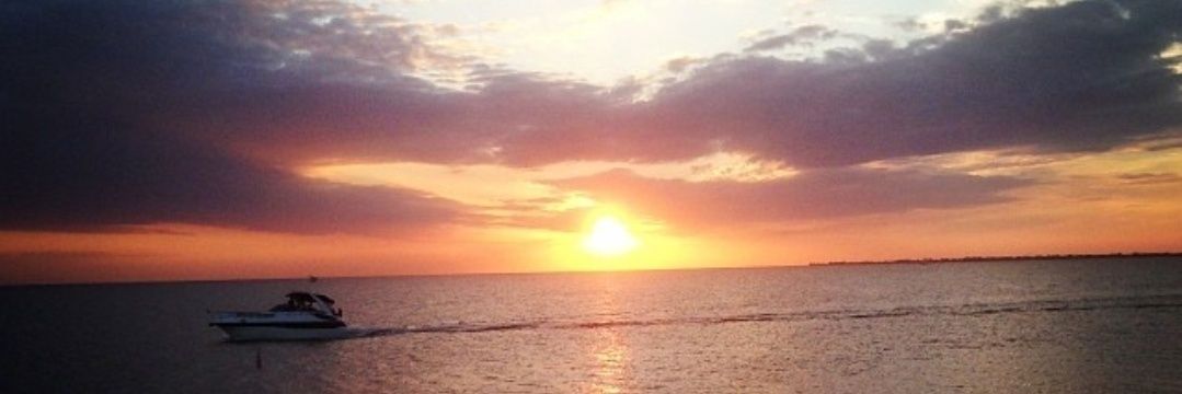 MiaFlames's profile banner image