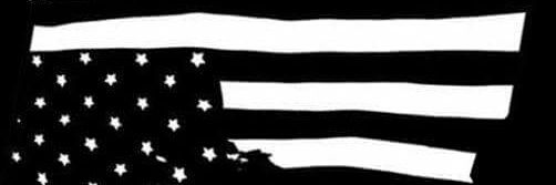 Liberation Coalition banner