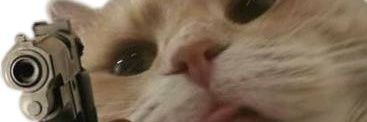 BunkerAntiNuke's profile banner image