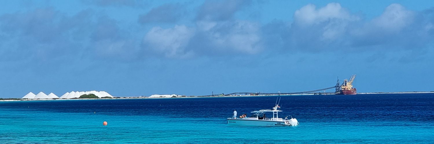 fred van der flier banner