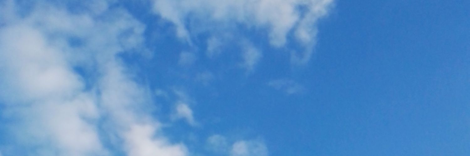 Mario alberti banner