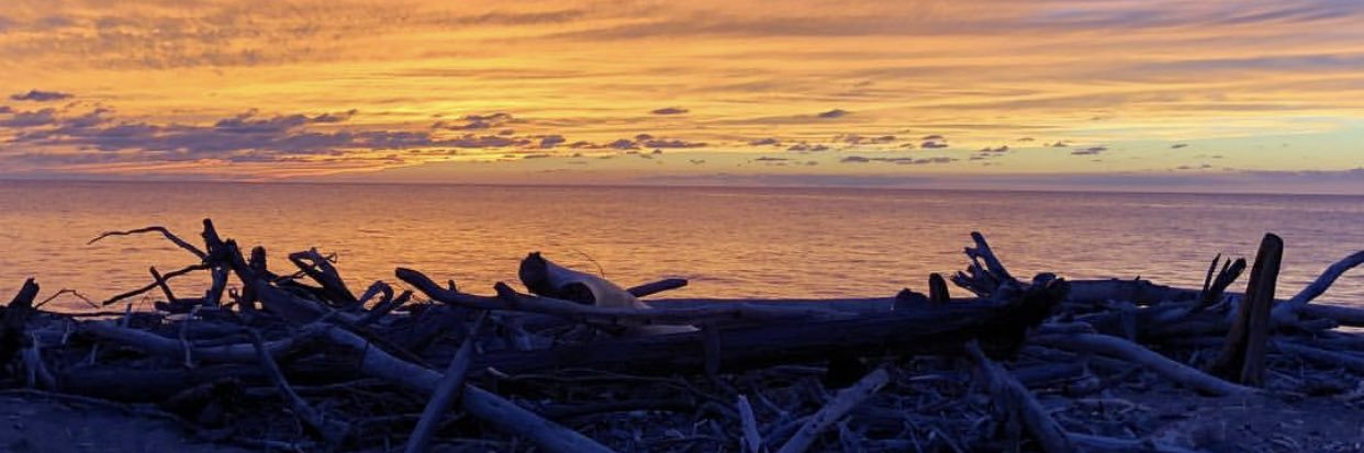 lexispots 🌻 banner