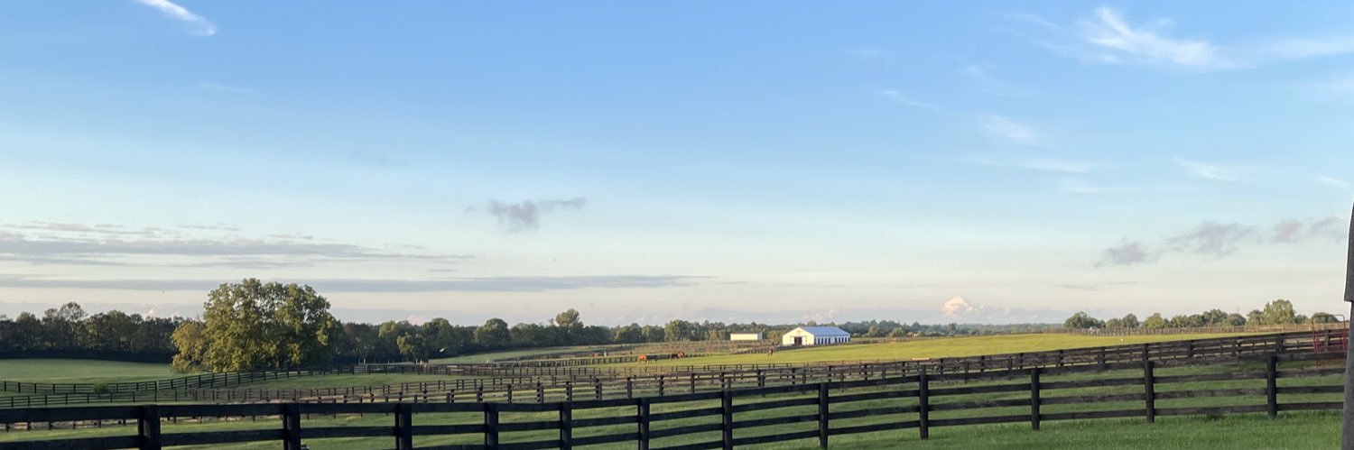 Simple Zulema banner