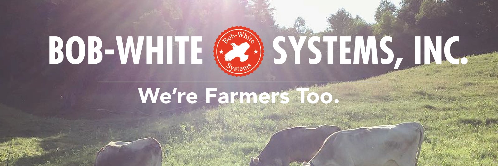 FarmsteadDairy's profile banner image