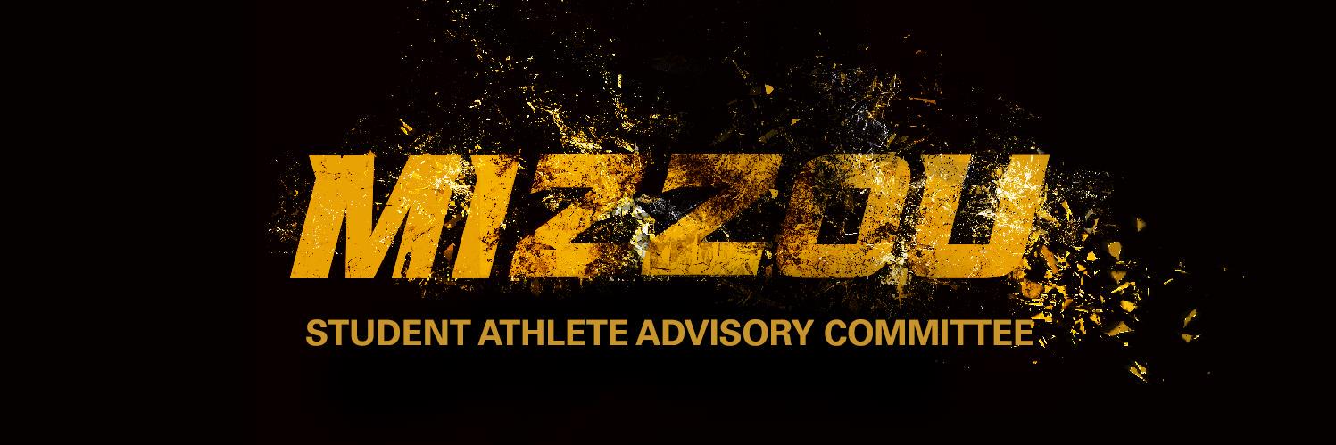 Mizzou_SAAC's profile banner image