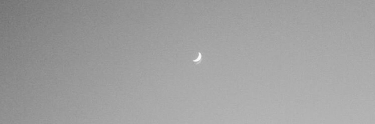 moonlightllbae's profile banner image