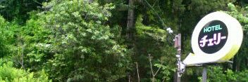Renchin221's profile banner image