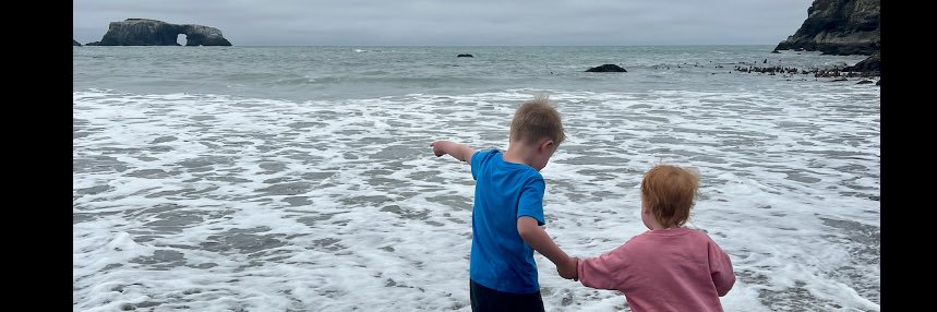 Jesse James Taylor banner