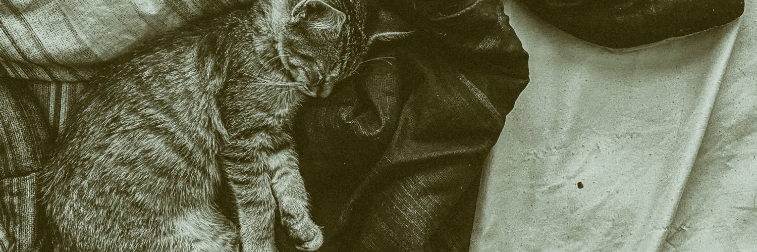 cboyd_2's profile banner image