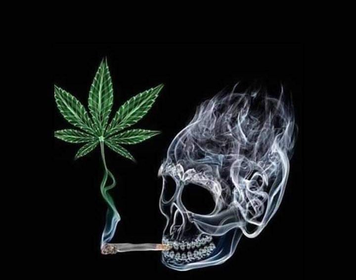 blackykush2's profile banner image