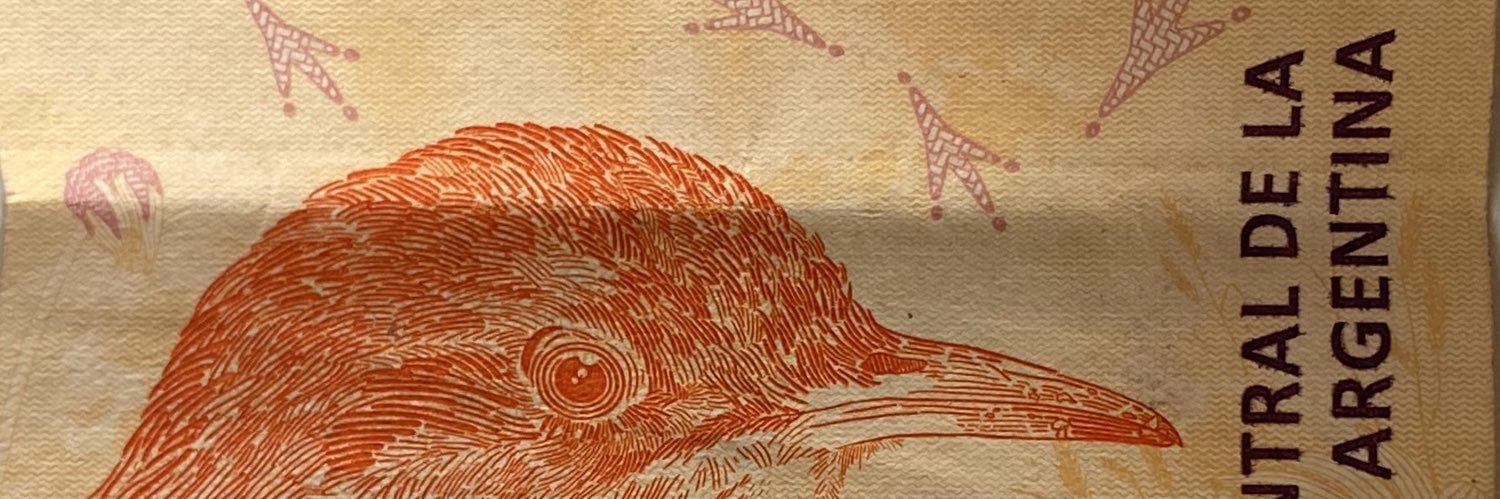 jitomaluca's profile banner image