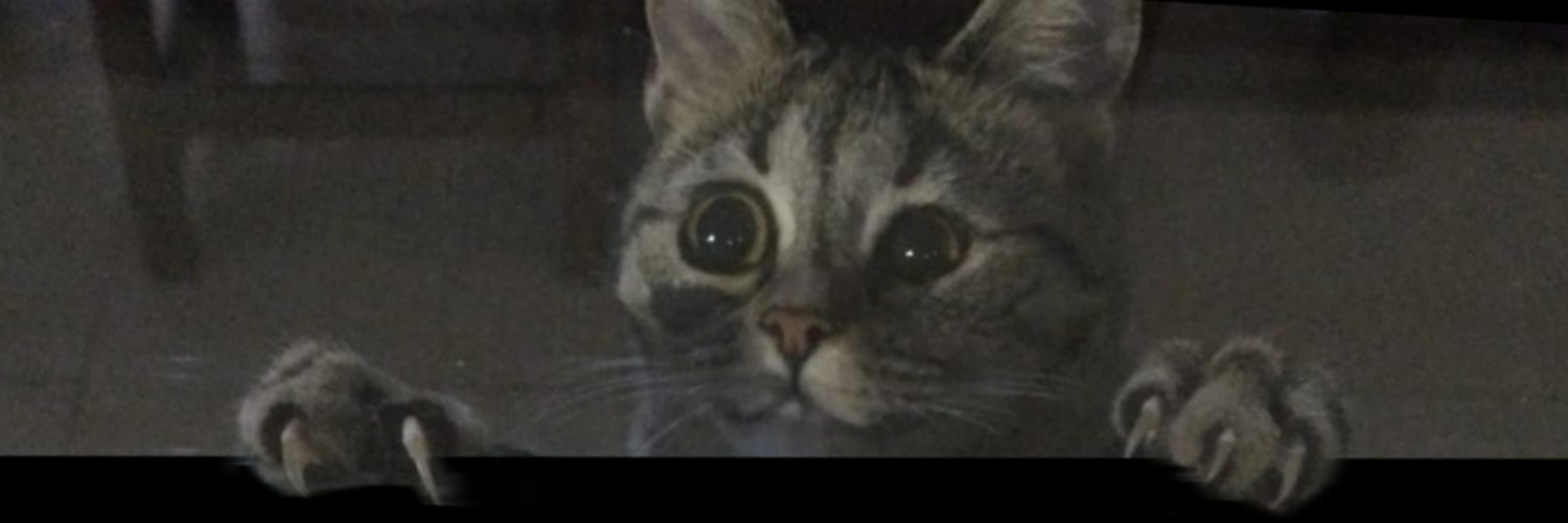 LucaGSepulveda's profile banner image