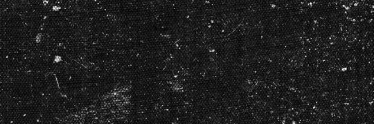 Lydiaa2504's profile banner image