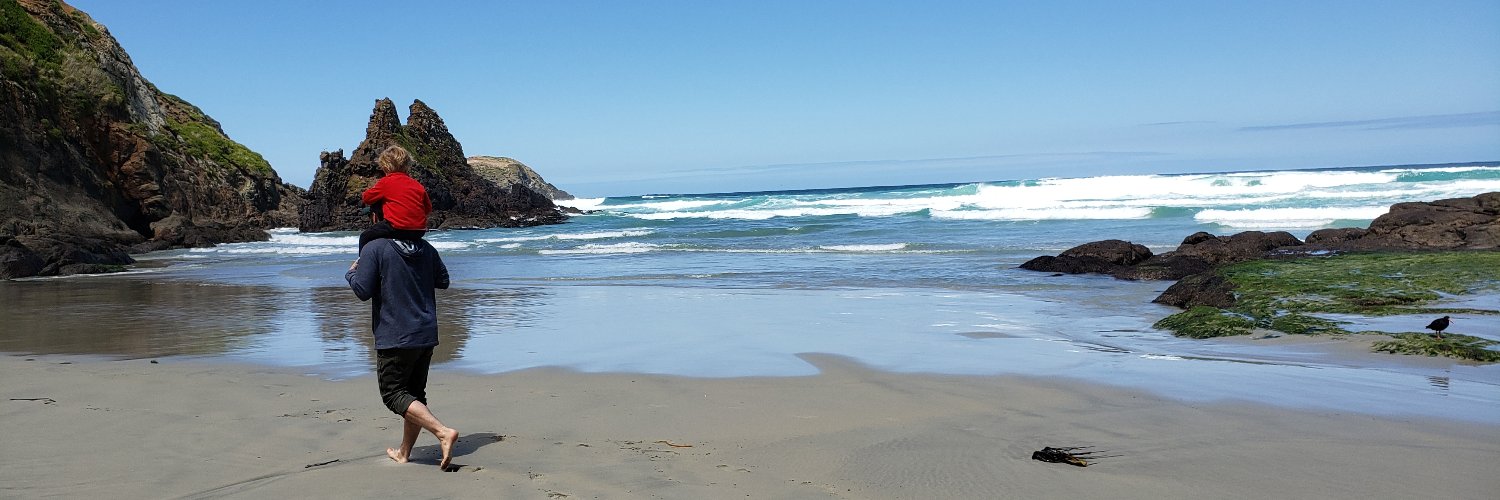 Dr Anne A. Besson banner