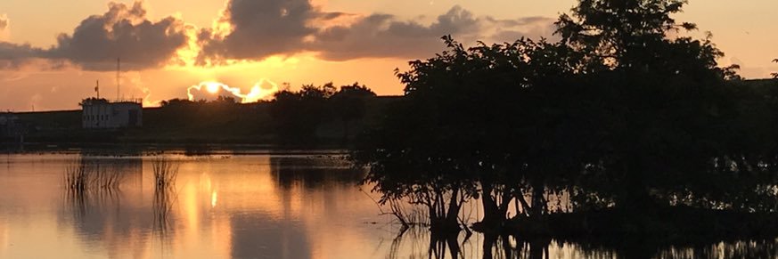 mpitzulo's profile banner image