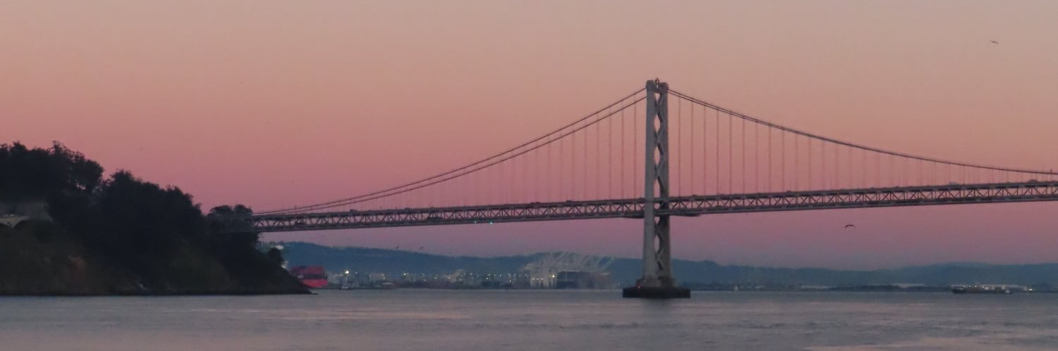 rozesxv's profile banner image