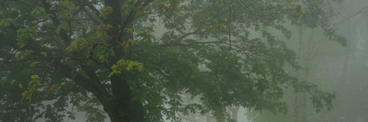 è banner