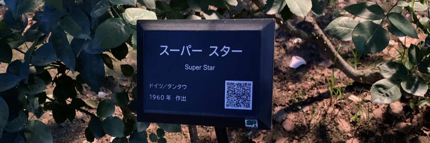 SUPER_STAR_Z's profile banner image