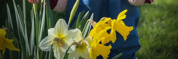 a_m_roberts Profile Banner