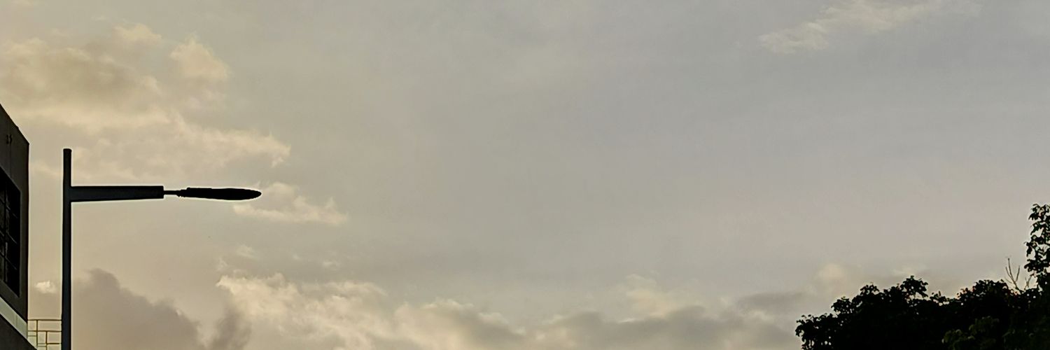 SisiBarbie's profile banner image