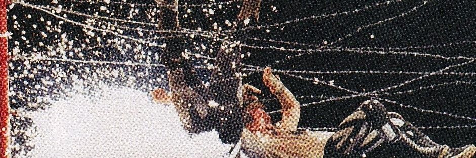 nlaute_'s profile banner image