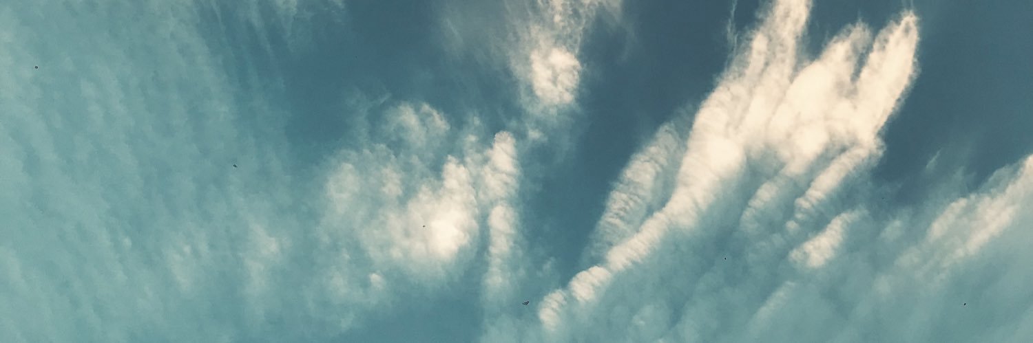 Florcolsani's profile banner image
