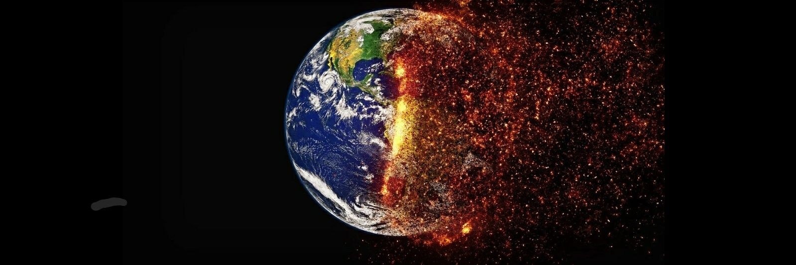 Bernhard Forcher banner