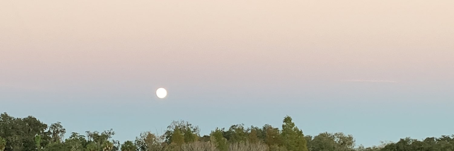 carlimarieee's profile banner image