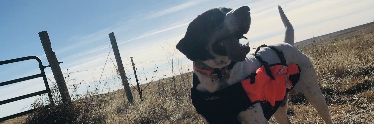 Cuzzycarm's profile banner image
