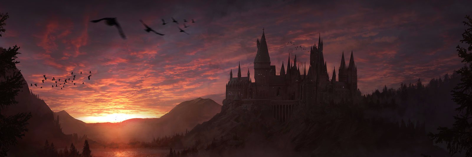 MrsRaiTweets's profile banner image