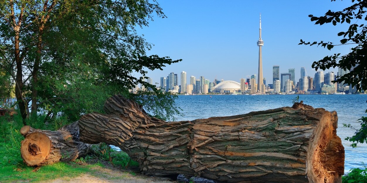 InsideToronto's profile banner image
