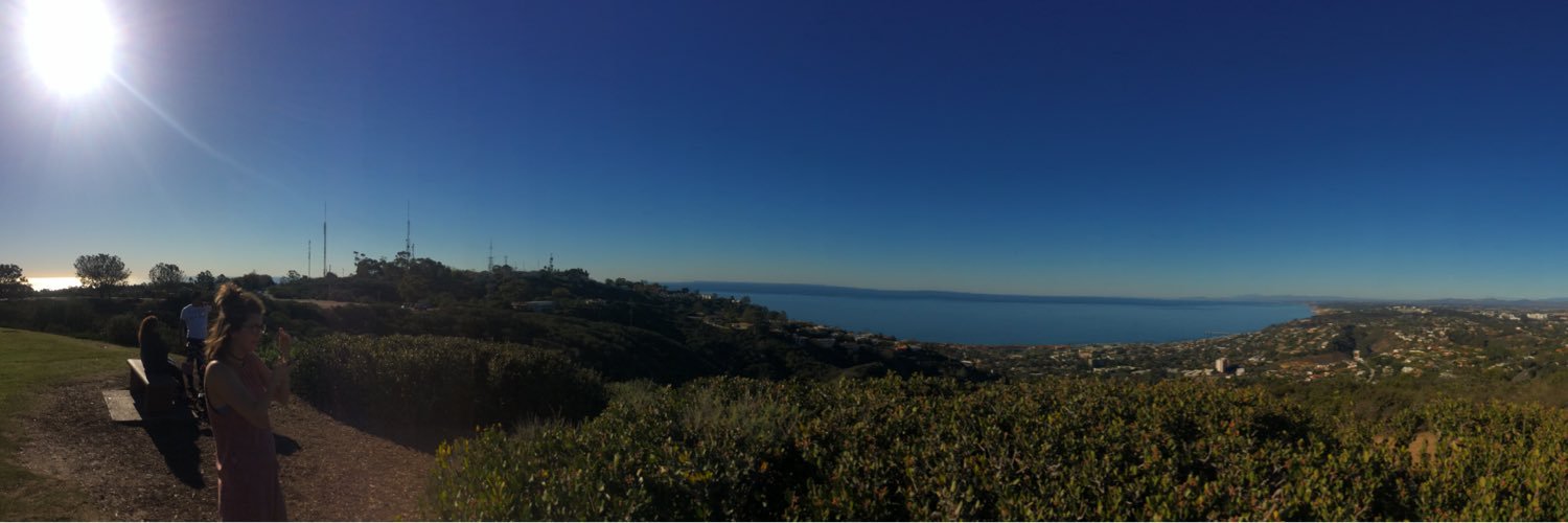 MitchellPC @ bsky banner