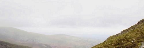 Torrence Slicker banner