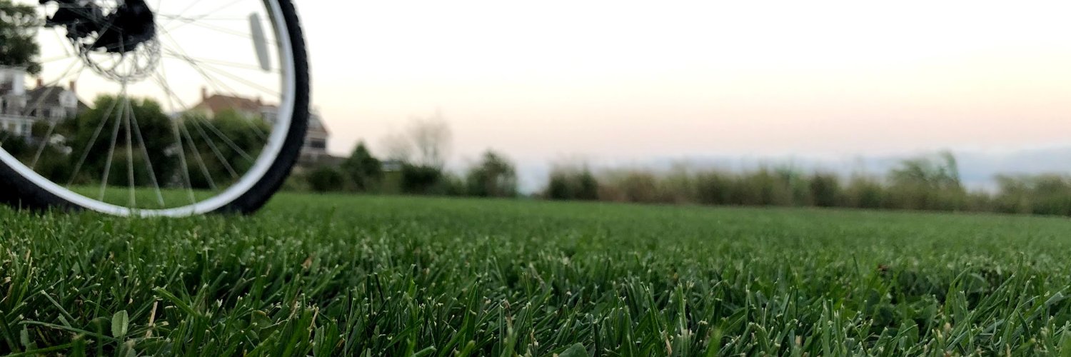 jsonbit banner