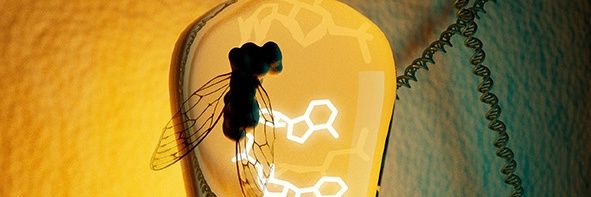 Juan B Rodriguez Molina banner