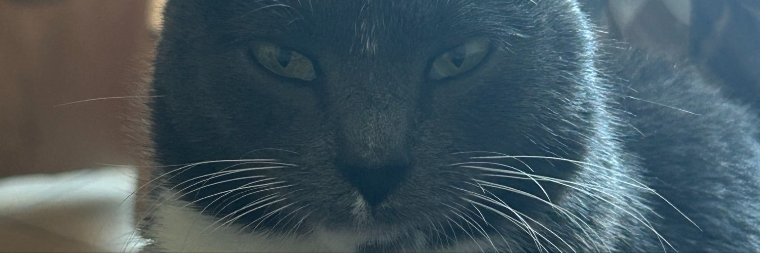 cami_almm's profile banner image