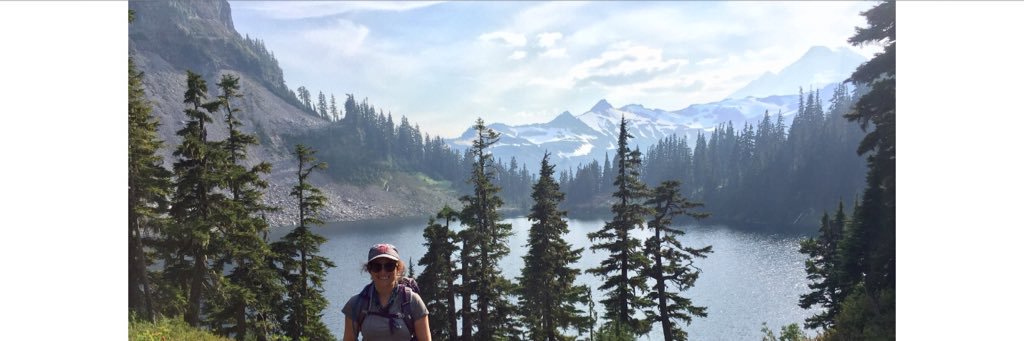 CarolGullstad's profile banner image