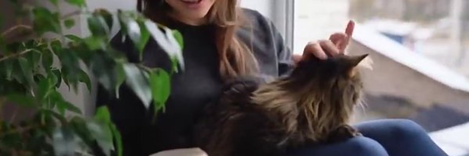 Laura_Felinos's profile banner image