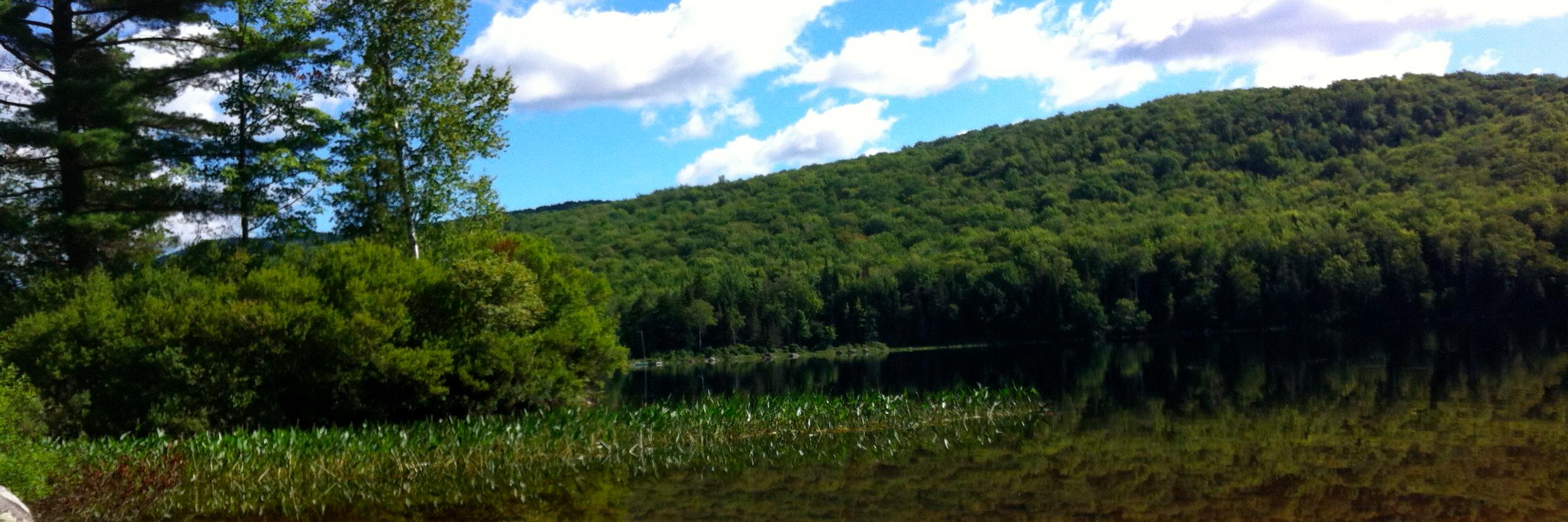 Alison Masemann banner