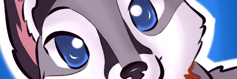 Lockfordfox's profile banner image