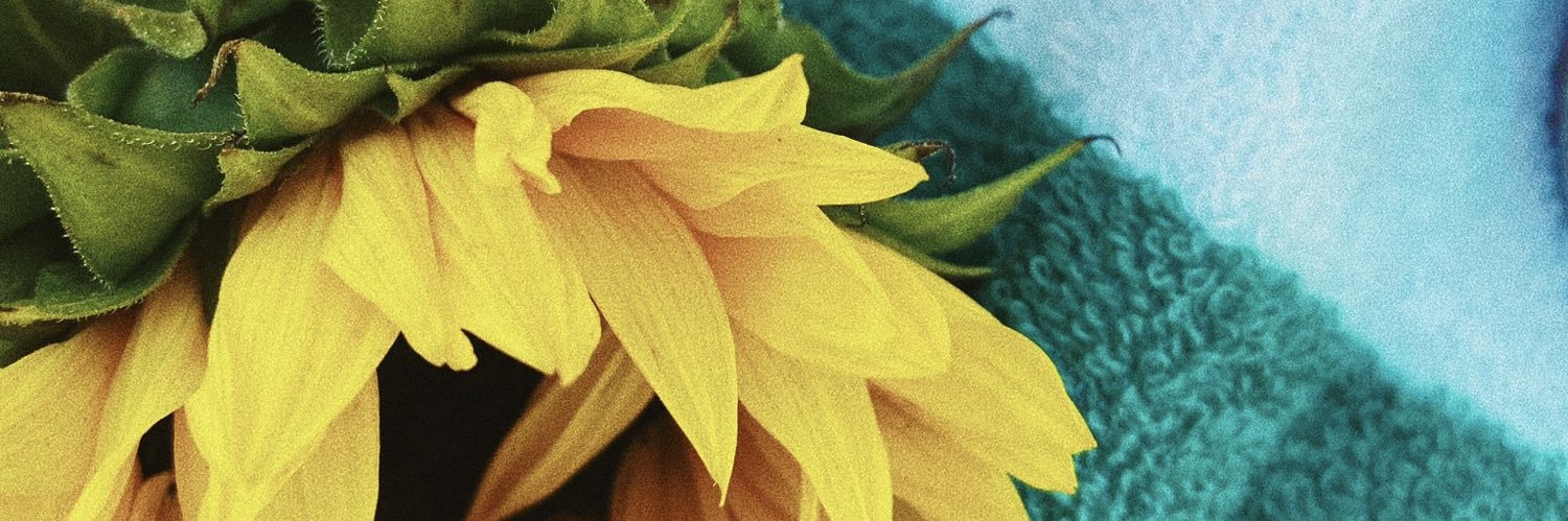 supremeCOURT322's profile banner image