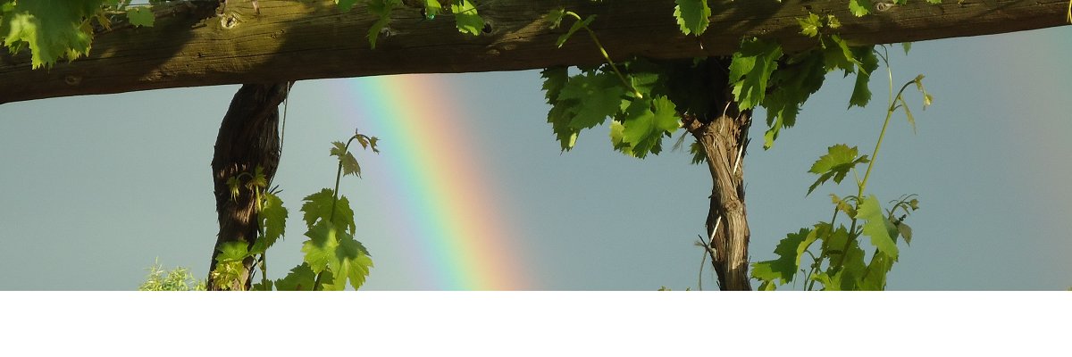 XavierParrasMas's profile banner image