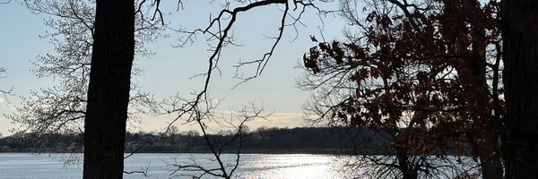 VintageWingnut1 Profile Banner